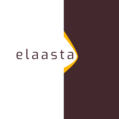 Elaasta Logo